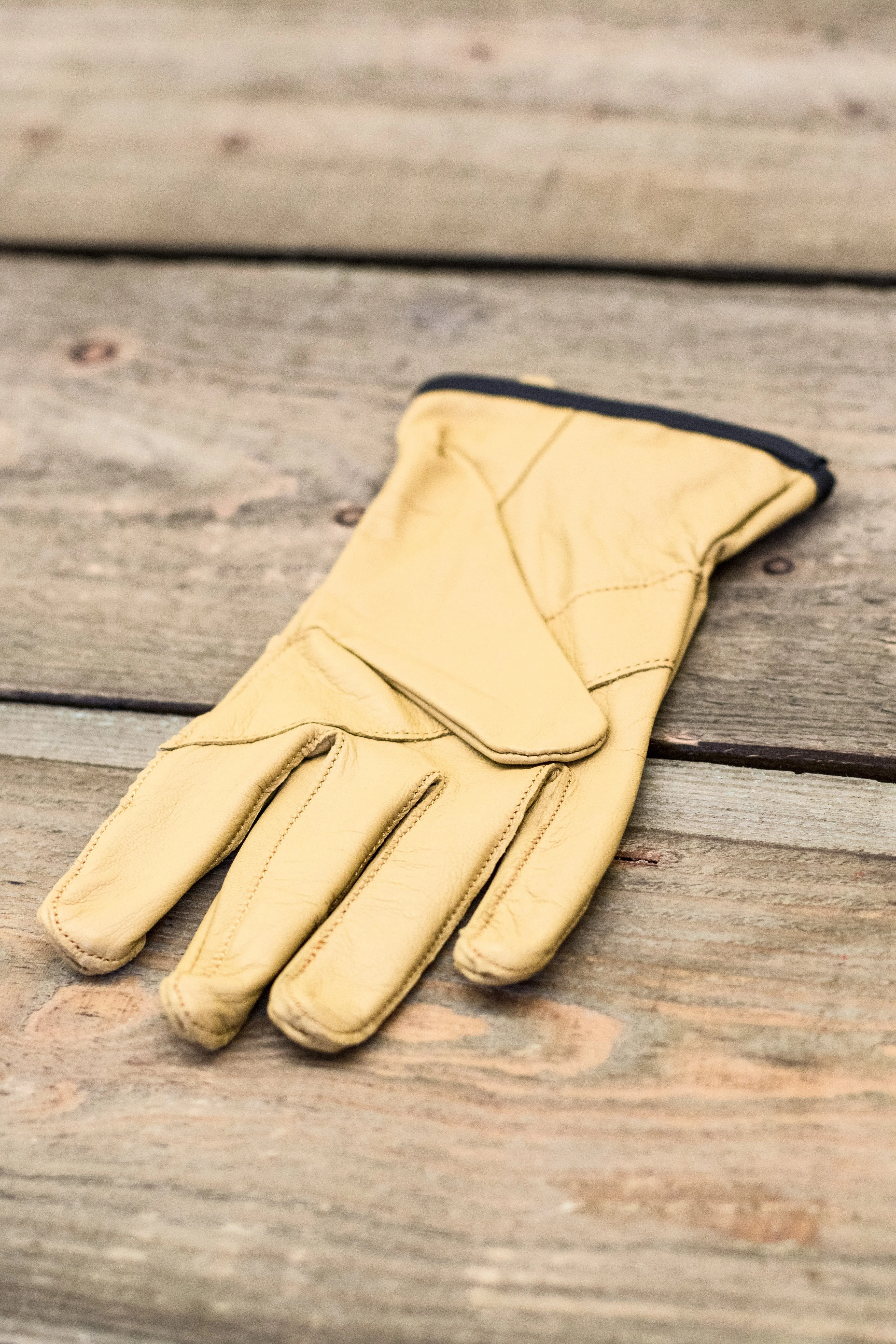 Beal - Assure Max Gloves