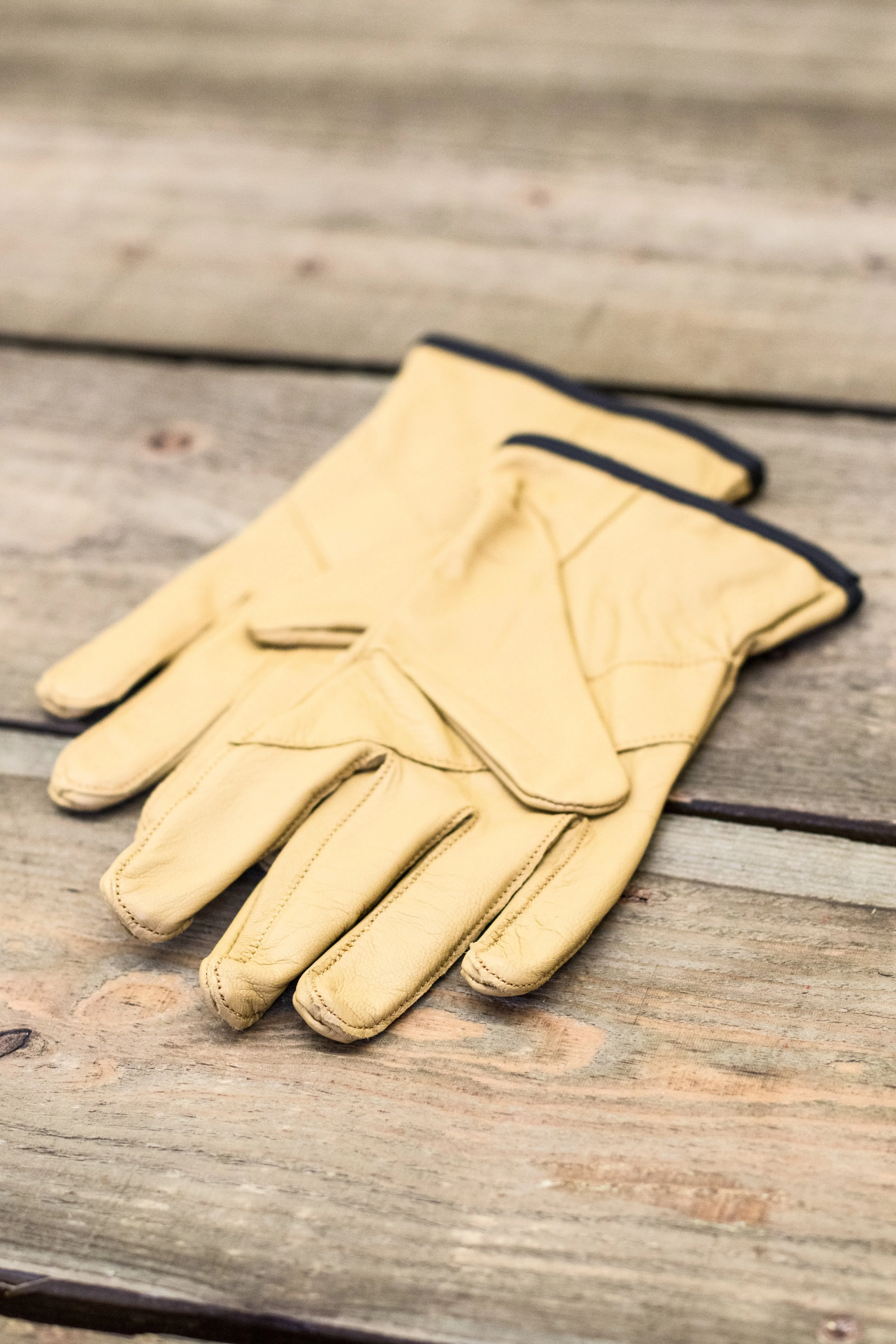 Beal - Assure Max Gloves