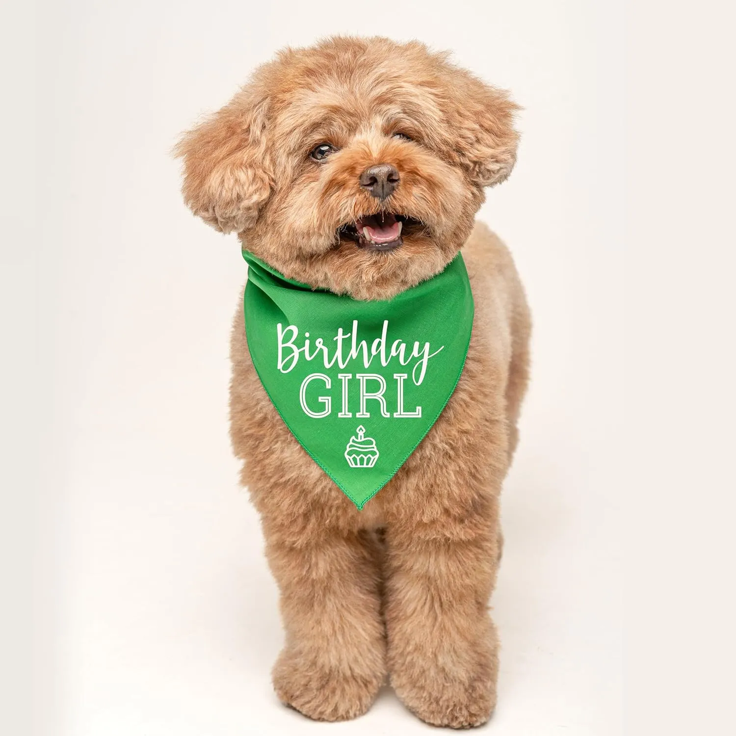 Birthday Girl with Cupcake Dog Bandana | 100% Cotton | Made in USA | Birthday | Pawty | Party Theme | Celebration Supplies | Photoshoot | Royal, One Size (215)