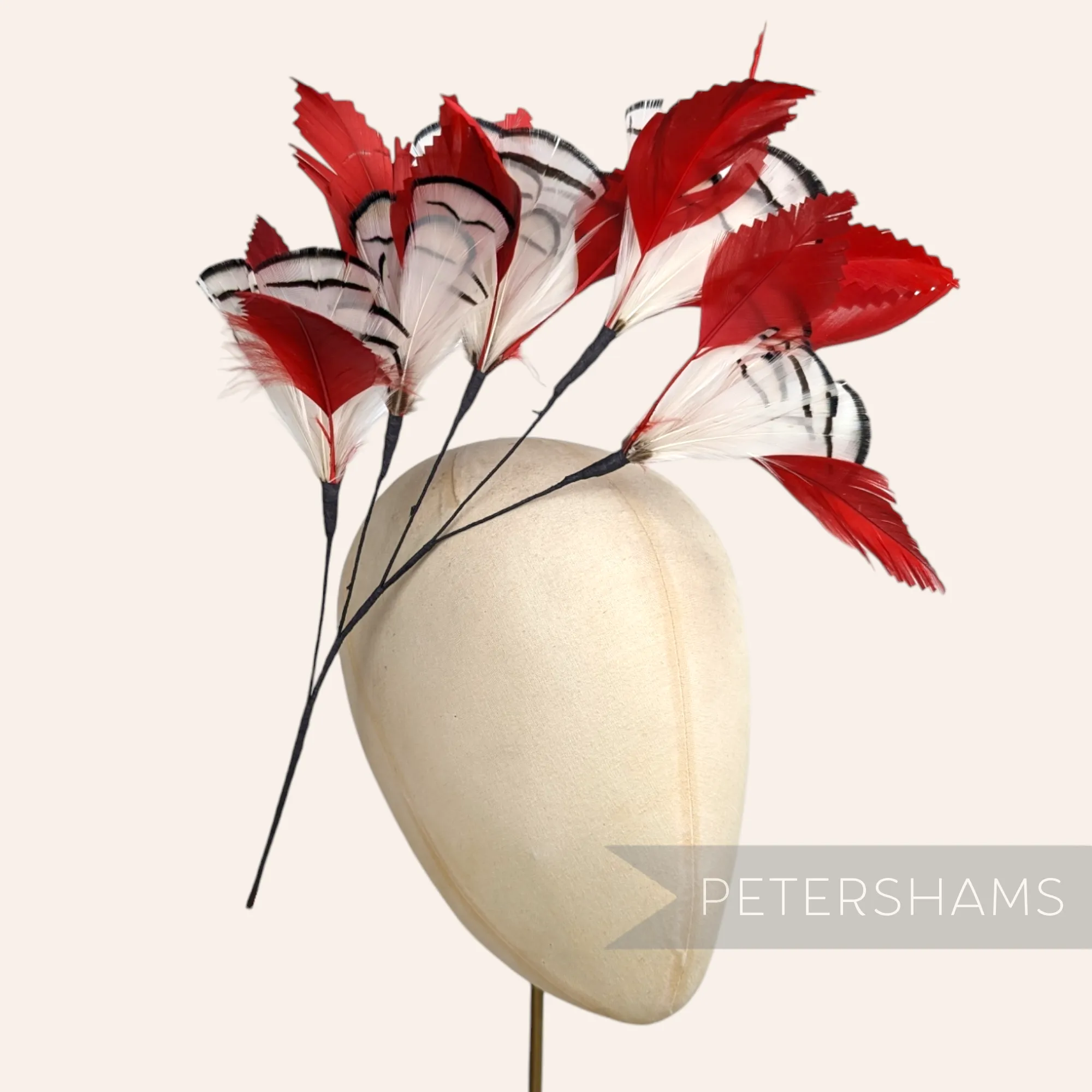 Extra Large Lady Amherst & Goose Feather Flower Hat Mount