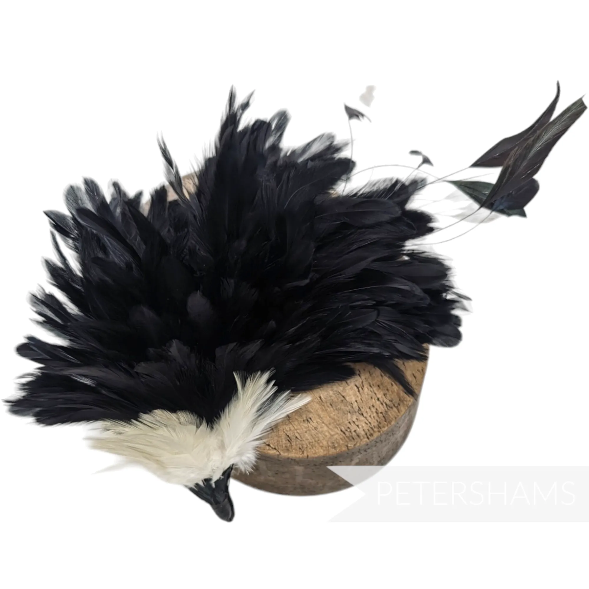 Large Full & Fluffy Coque Feather Hat Mount